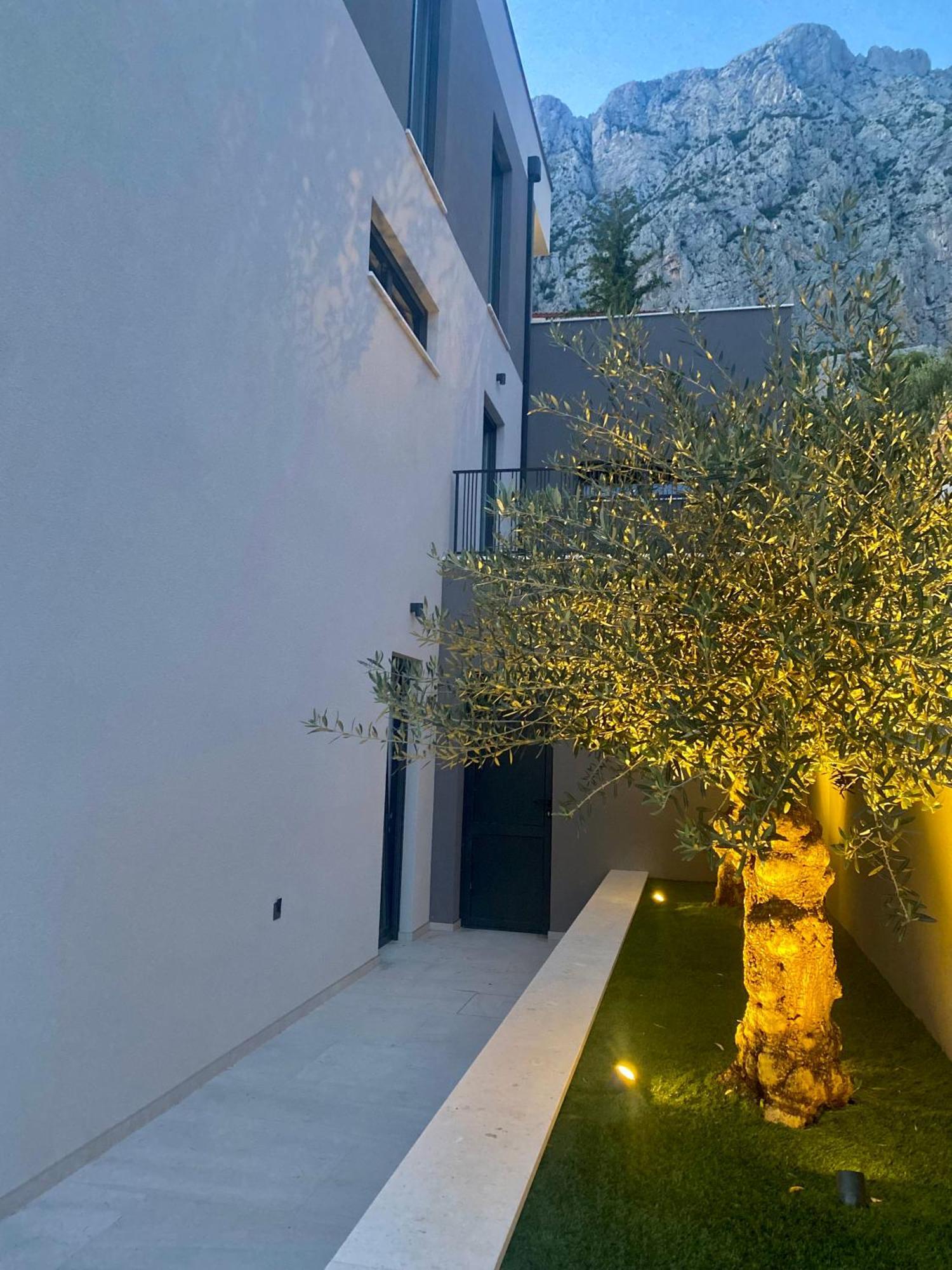 Villa 5 มาคาร์สกา ภายนอก รูปภาพ